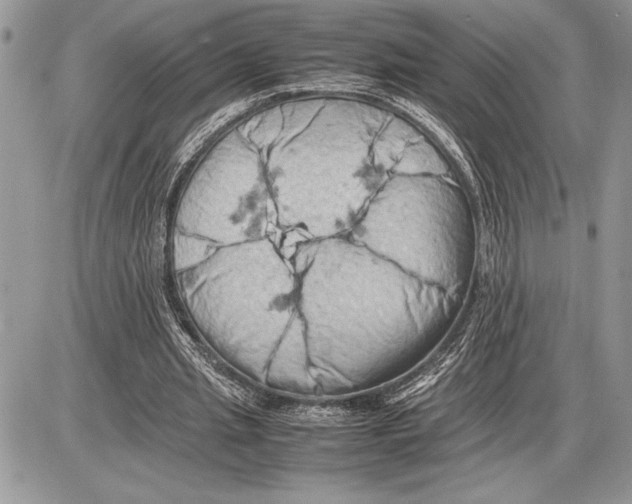 X0000085750437200704131715