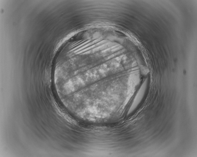 X0000085750438200704131715