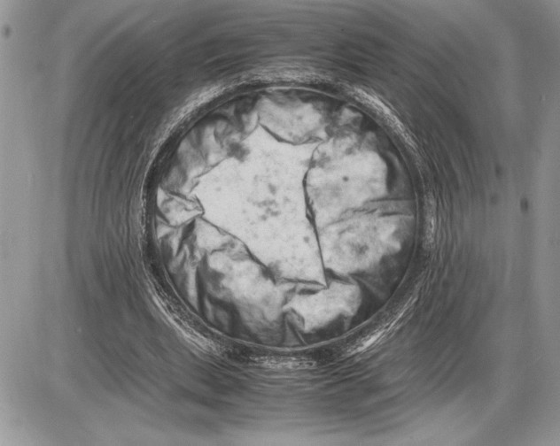 X0000085750439200704131715