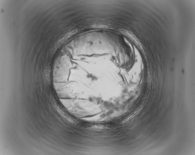 X0000085750441200704131715