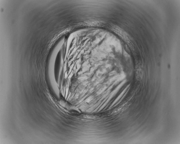 X0000085750442200704131715