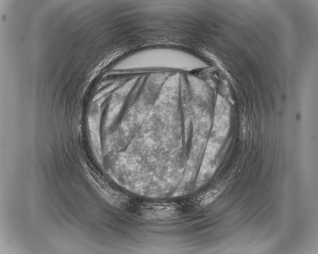 X0000085750443200704131715