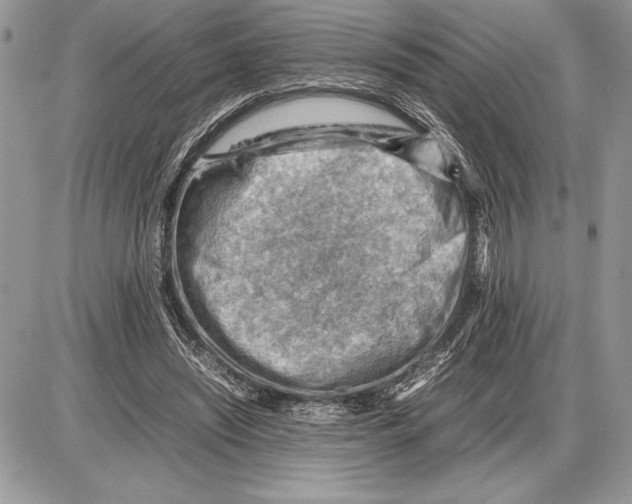 X0000085750444200704131715