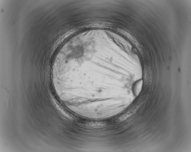 X0000085750445200704131715