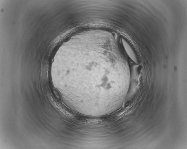 X0000085750446200704131715