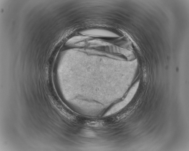 X0000085750447200704131715