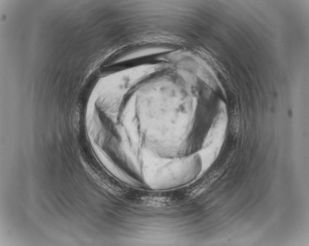 X0000085750448200704131716