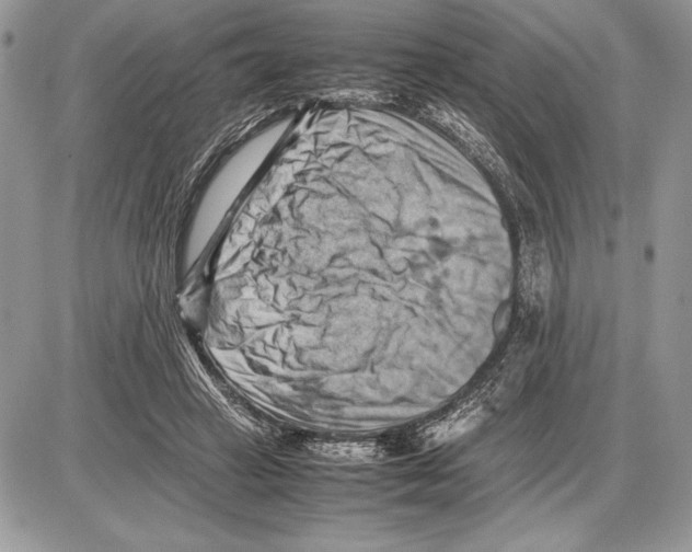 X0000085750449200704131716