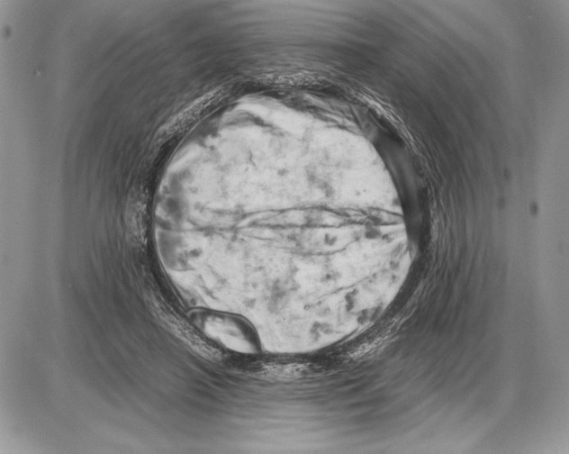 X0000085750450200704131716