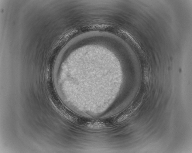 X0000085750451200704131716