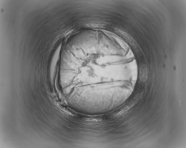 X0000085750453200704131716