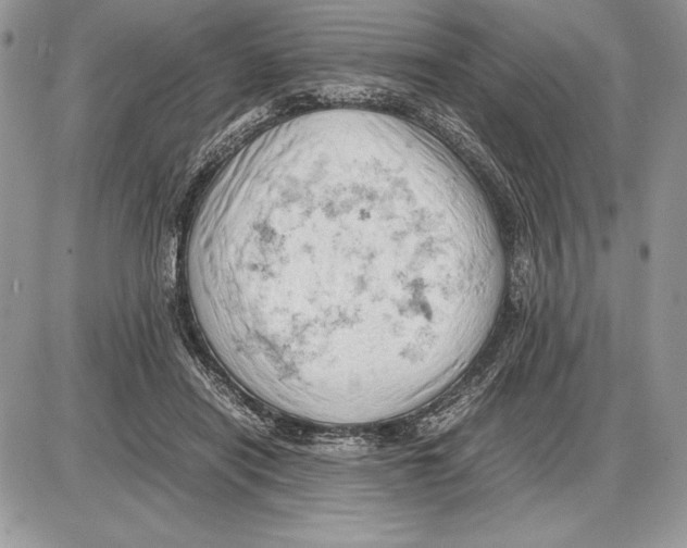 X0000085750454200704131716