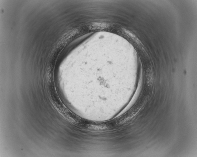 X0000085750455200704131716