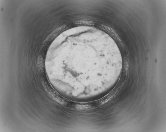 X0000085750457200704131716