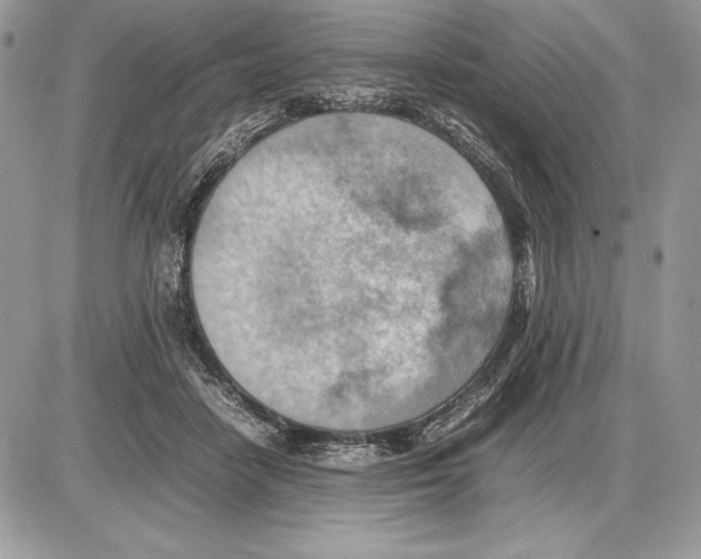 X0000085750458200704131716