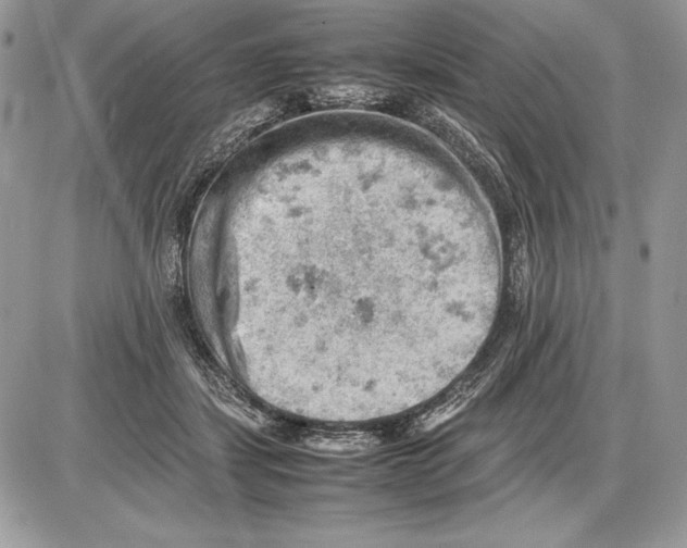 X0000085750459200704131716