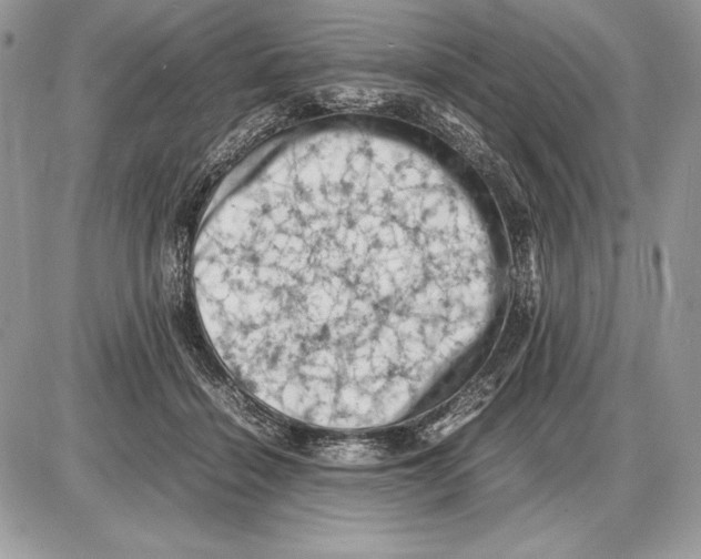 X0000085750460200704131716