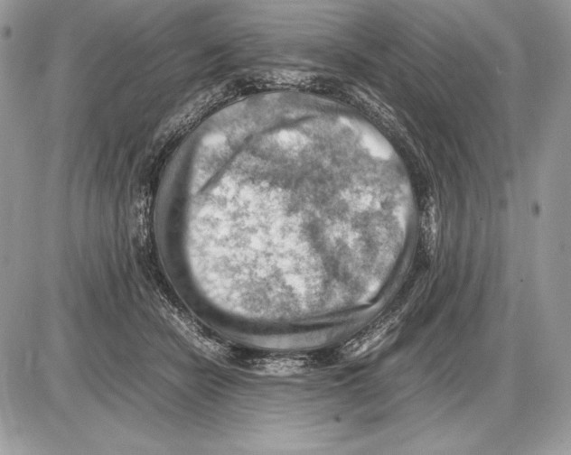 X0000085750462200704131716