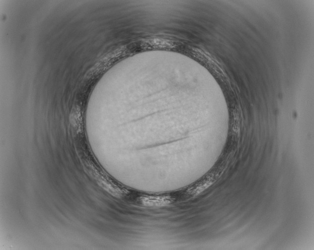 X0000085750465200704131716