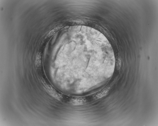 X0000085750466200704131716