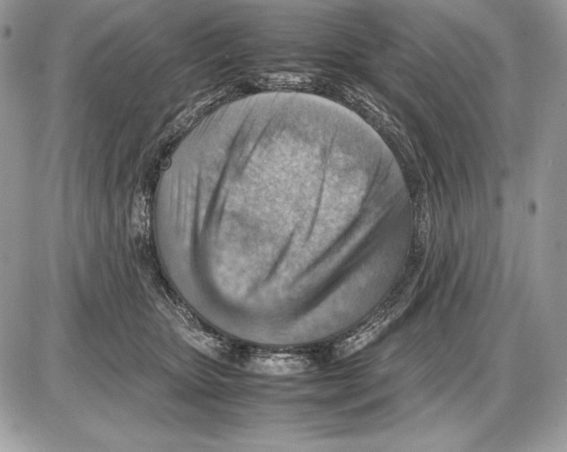 X0000085750467200704131716