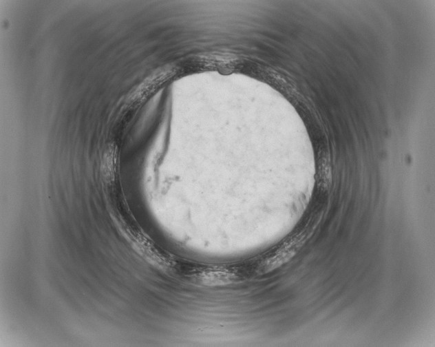 X0000085750468200704131716