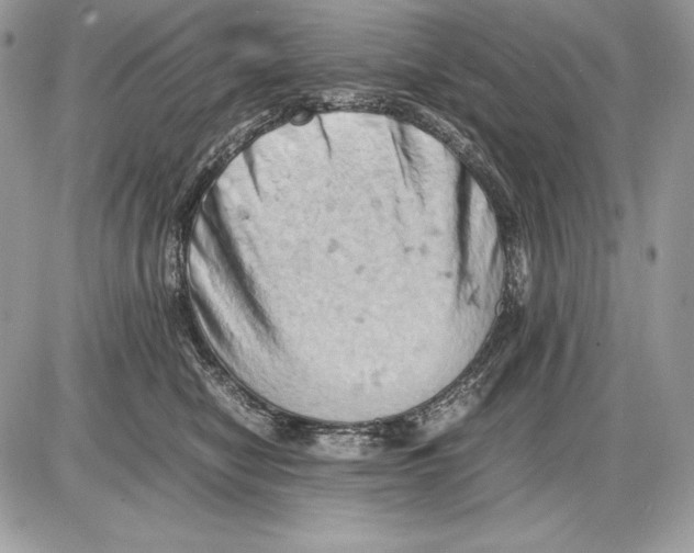 X0000085750470200704131716