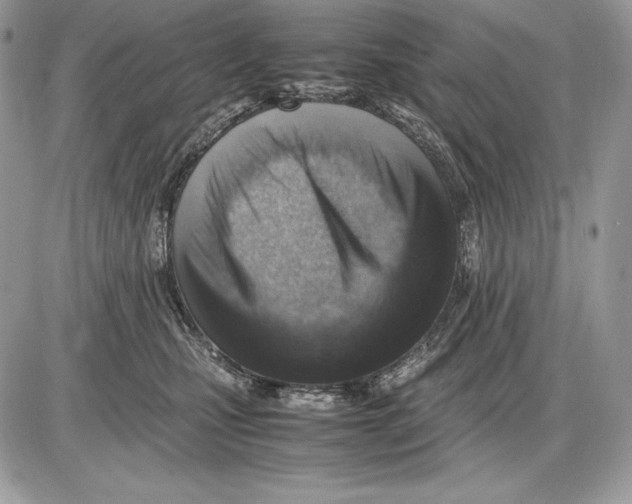 X0000085750471200704131716