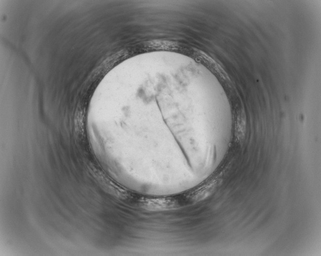 X0000085750473200704131716