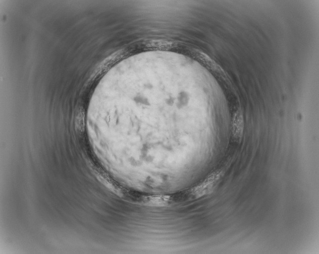 X0000085750474200704131716