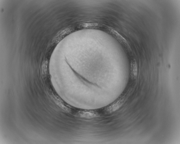 X0000085750475200704131716