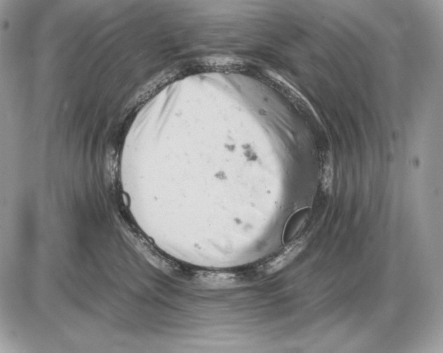 X0000085750476200704131716