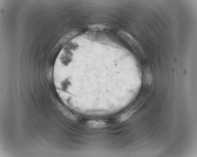 X0000085750477200704131716