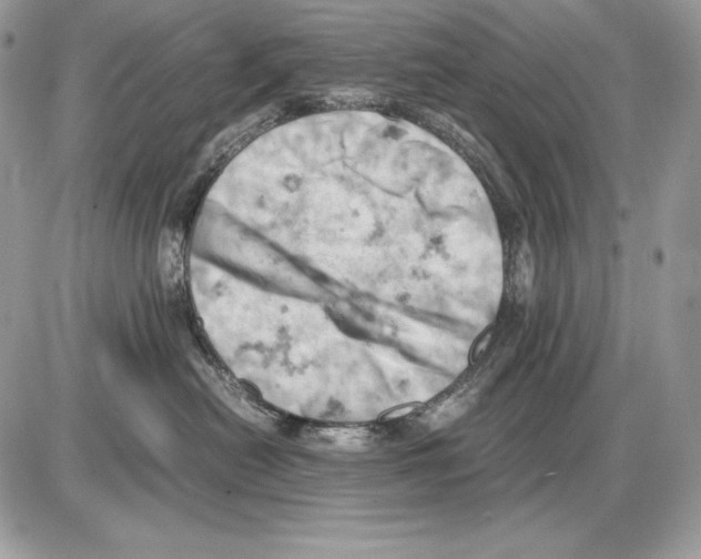 X0000085750478200704131716