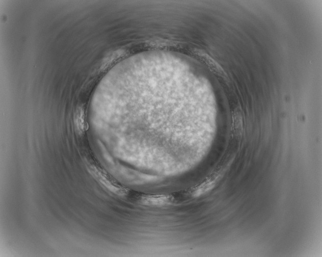 X0000085750479200704131716