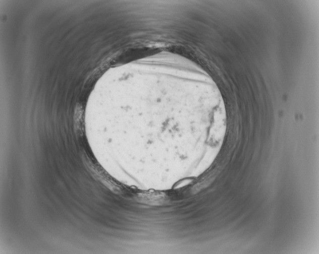 X0000085750480200704131716