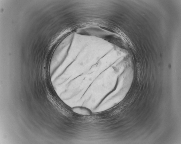 X0000085750482200704131715