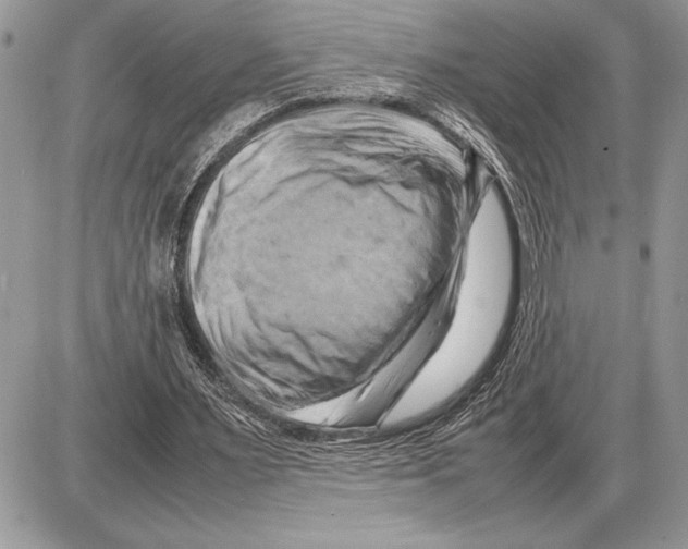 X0000085750483200704131715