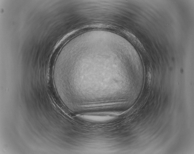 X0000085750484200704131715