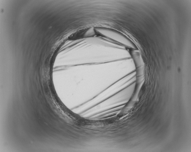 X0000085750485200704131715