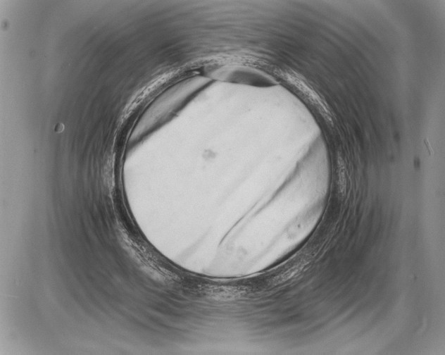 X0000085750486200704131715