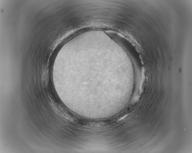 X0000085750488200704131715