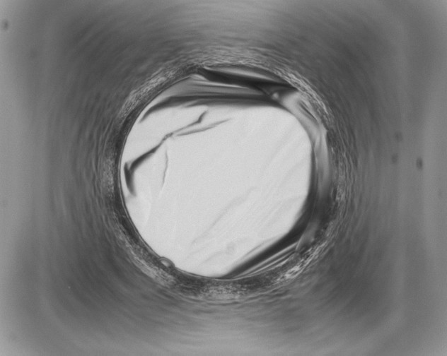 X0000085750489200704131715