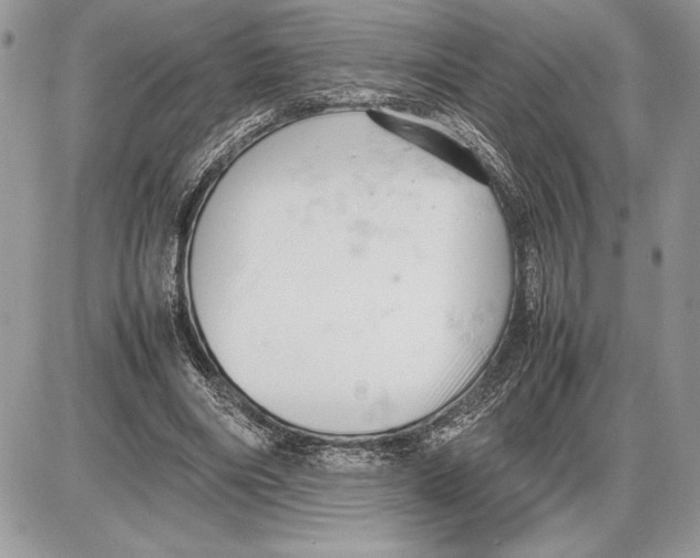 X0000085750490200704131715