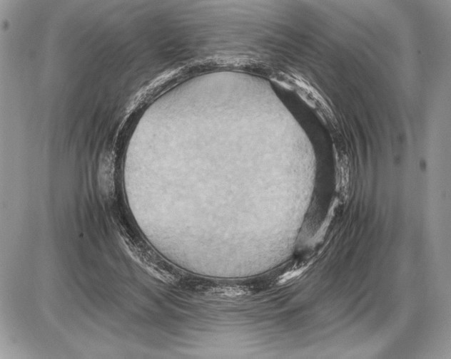 X0000085750492200704131715