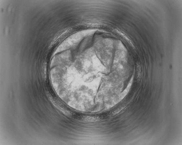 X0000085750494200704131715