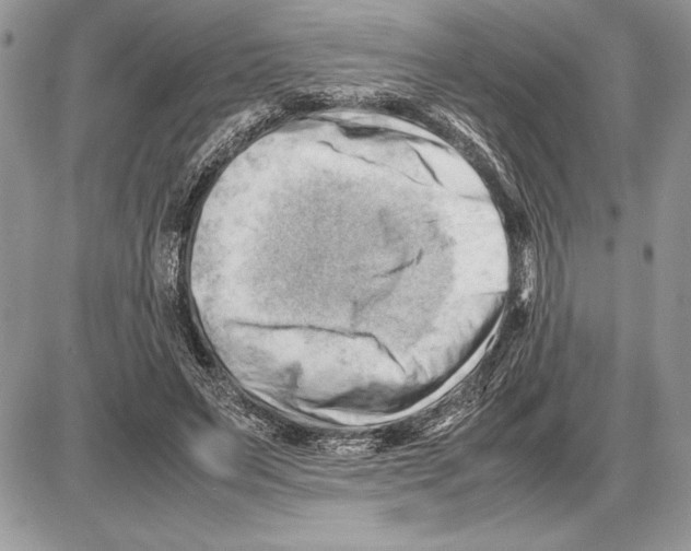 X0000085750495200704131715