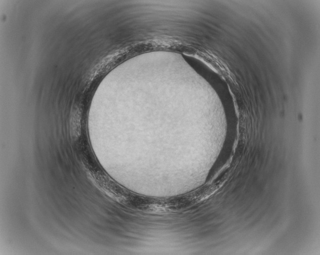 X0000085750496200704131715