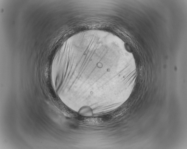 X0000085750499200704131715