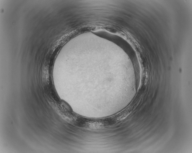 X0000085750500200704131715